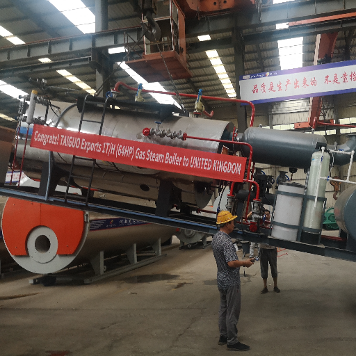 Exportação bem sucedida: Caldeira de vapor de gás TAIGUO 1 T/H para o Reino Unido