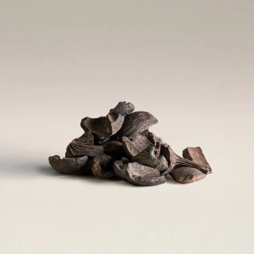 Palm Kernel Shell (PKS) Boiler Solutions