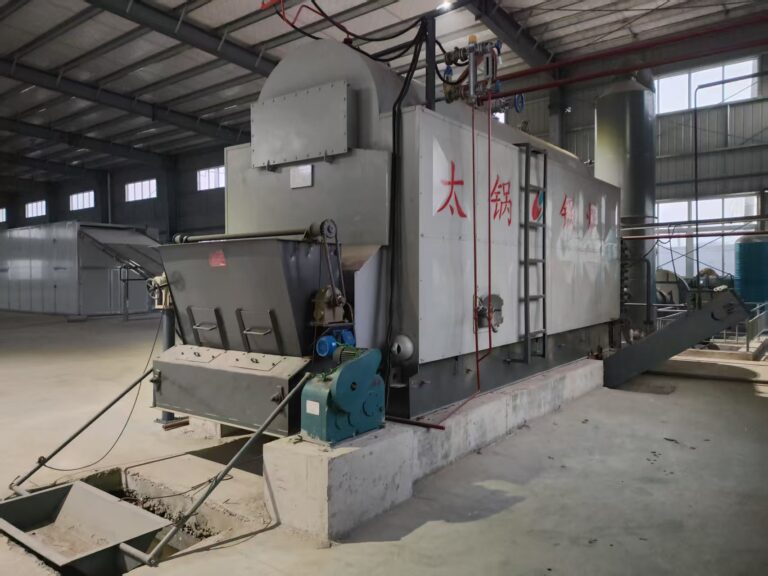 4 Ton DZL Chain Grate Steam Boiler for Tanzania Plywood Factory